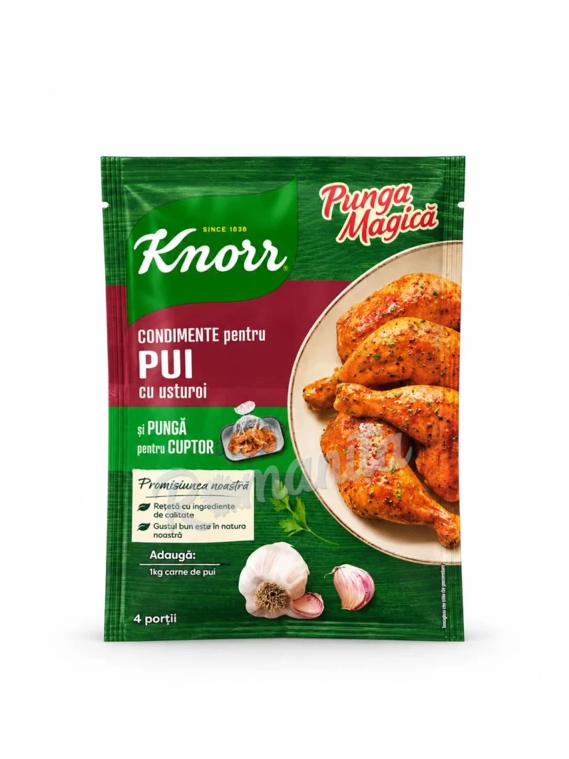 Knorr punga magica codiment pentru pui 25gr